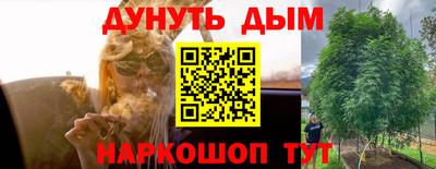 spice Кунгур