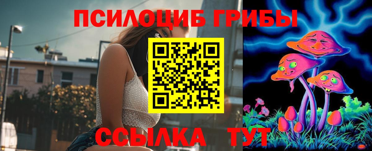 Галлюциногенные грибы прущие грибы  Вход с VPN  Кандалакша 